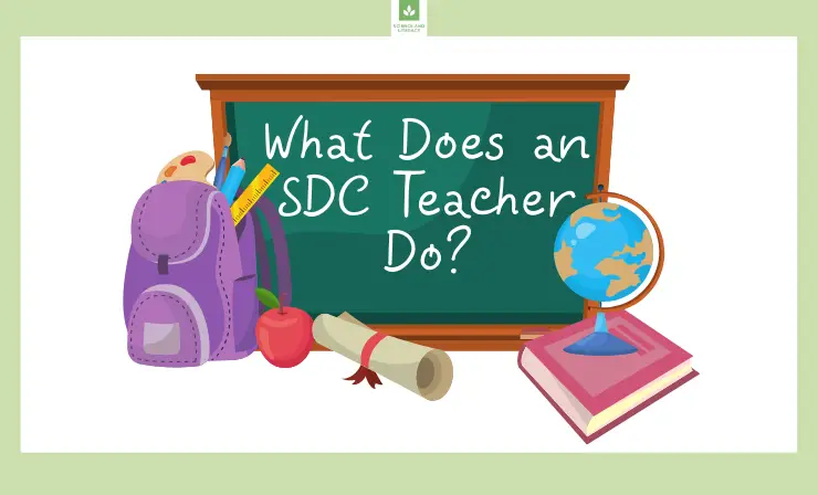 Work as a SDC Teacher