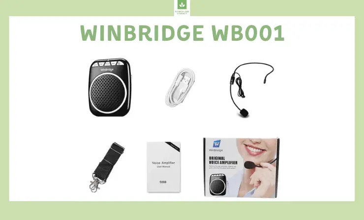 WinBridge have more than 10 years of experience in voice amplifiers field