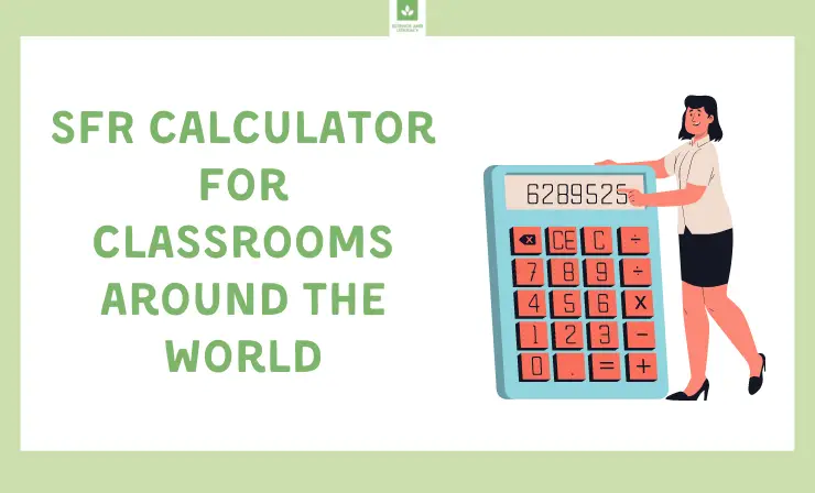 Are You Interested in Learning How to Utilize an SFR Calculator? Let's Do This Together