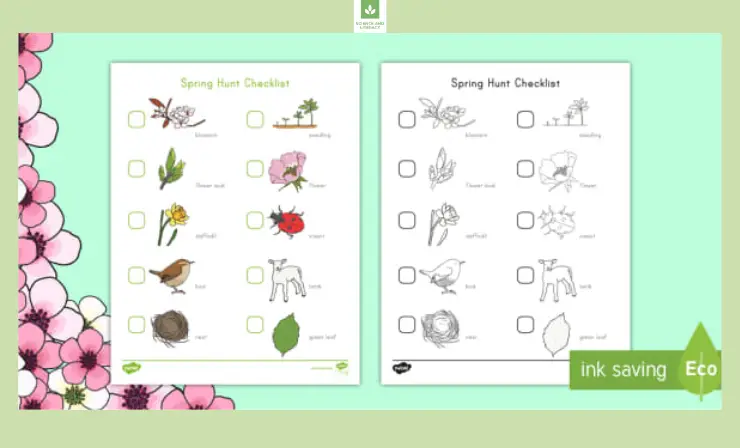 You can also have students add illustrations to accompany their observation notes