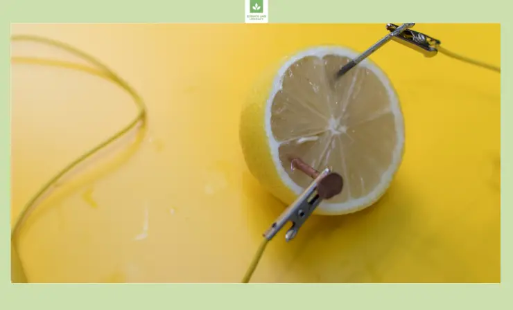 Can you imagine that lemons can provide electricity?
