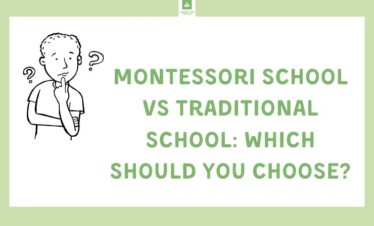 montessori-school-vs-traditional-school-which-should-you-choose-2022