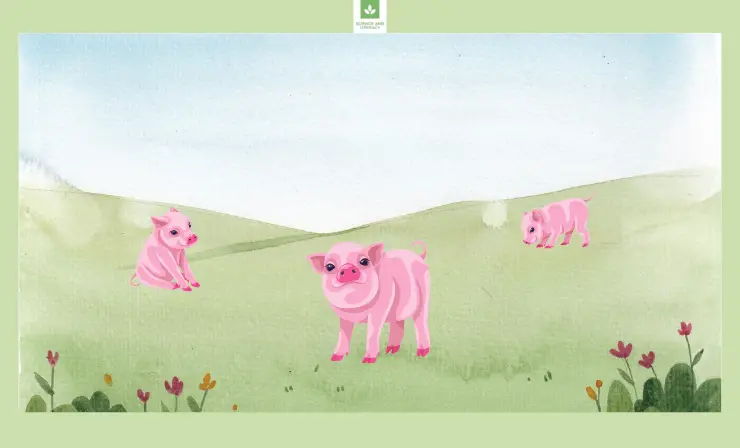 Do you know the story of the three little pigs?
