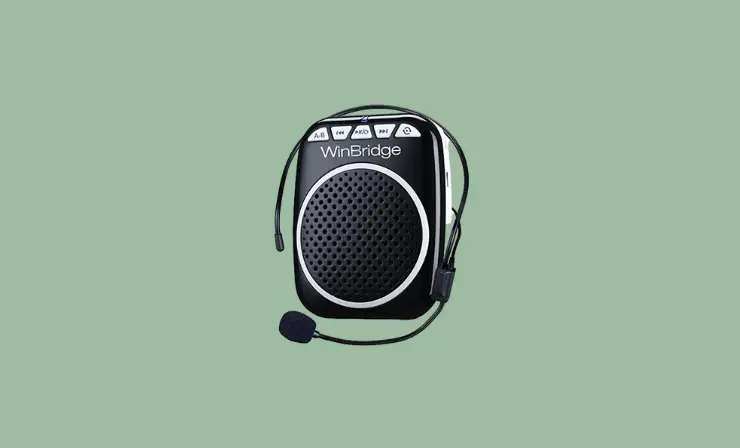 WinBridge Voice Amplifier Review