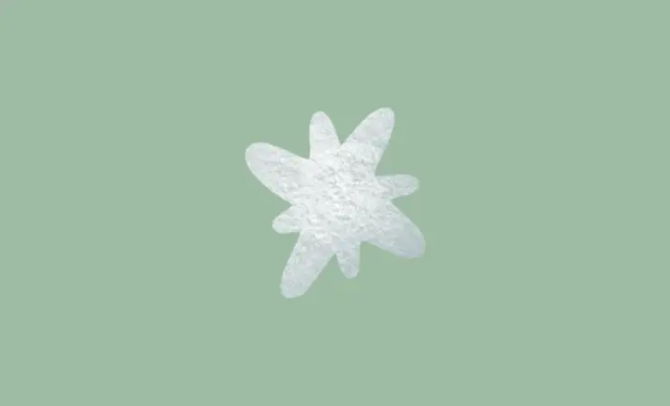 Crystal Snowflakes experiment