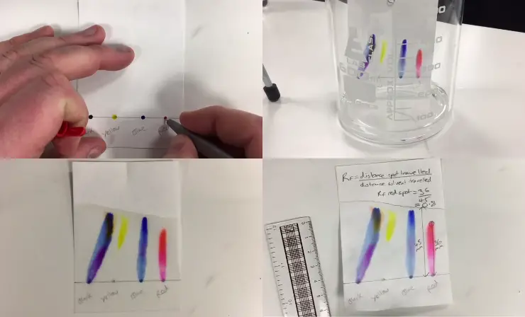 Investigating Chromatography with Markers