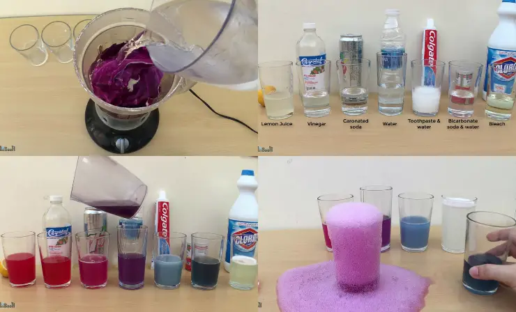 Testing Acids and Bases with Red Cabbage