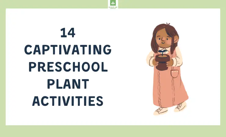 14 Captivating Preschool Plant Activities