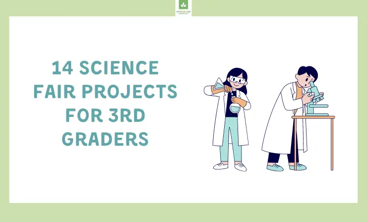 14 science fair projects for 3rd graders