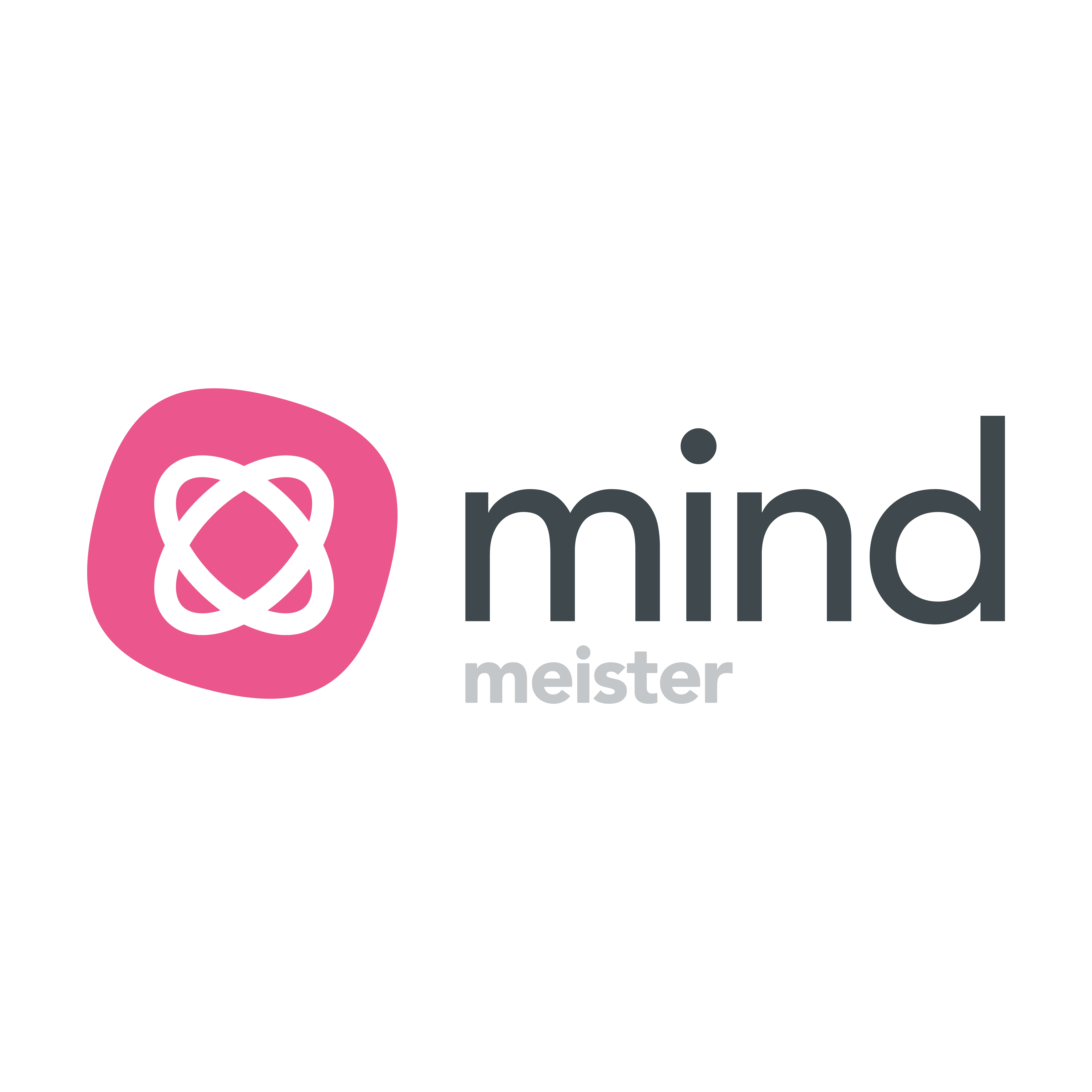 MindMeister MindMeister