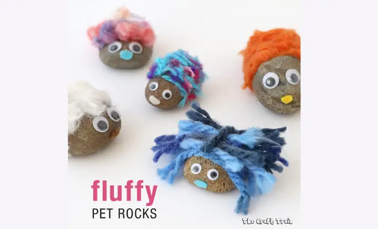 Fluffy Rock Pets